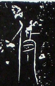 �������ϸ����