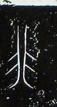 �������ϸ����