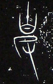 �������ϸ����