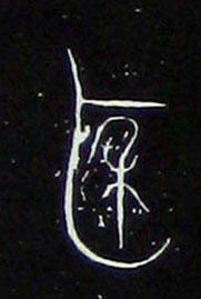 �������ϸ����