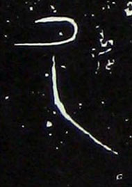 �������ϸ����