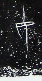 �������ϸ����