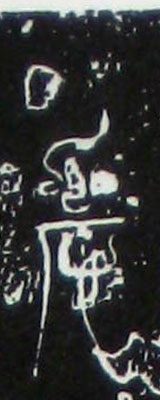 �������ϸ����