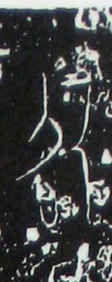 �������ϸ����