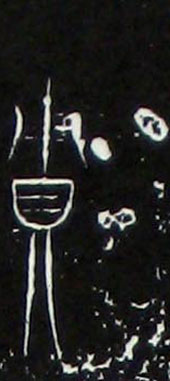 �������ϸ����