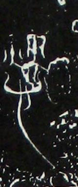 �������ϸ����