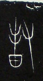 �������ϸ����