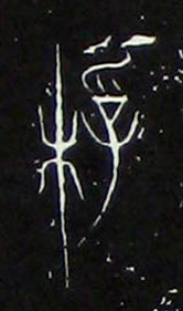 �������ϸ����