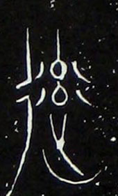 �������ϸ����