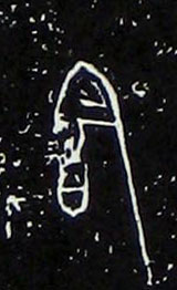 �������ϸ����