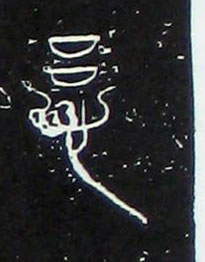 �������ϸ����