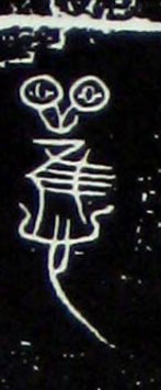 �������ϸ����