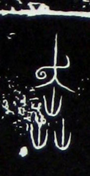 �������ϸ����