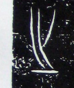 �������ϸ����