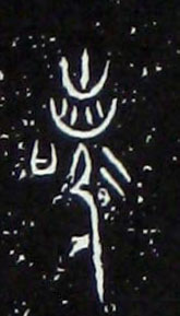 �������ϸ����