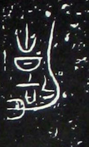 �������ϸ����