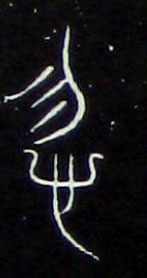 �������ϸ����