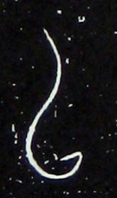 �������ϸ����