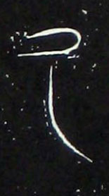 �������ϸ����