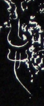 �������ϸ����