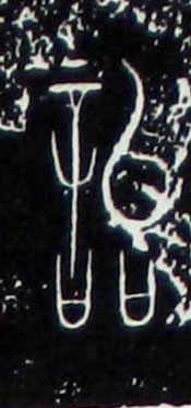 �������ϸ����