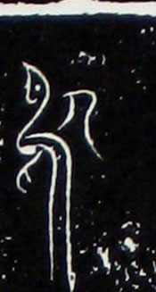 �������ϸ����