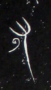 �������ϸ����