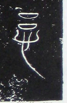 �������ϸ����