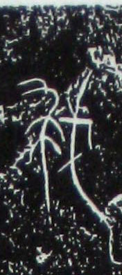 �������ϸ����