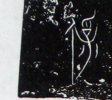 �������ϸ����