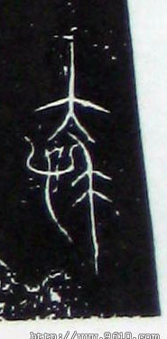 �������ϸ����