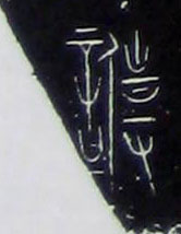 �������ϸ����