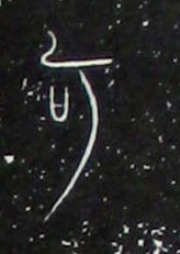 �������ϸ����