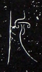 �������ϸ����