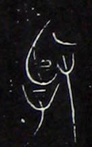 �������ϸ����