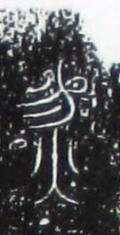 �������ϸ����