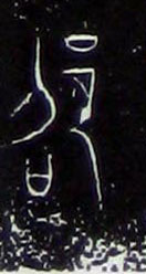 �������ϸ����