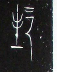 �������ϸ����