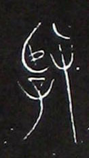 �������ϸ����