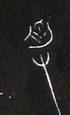 �������ϸ����