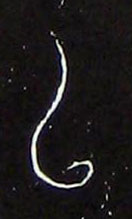 �������ϸ����