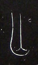 �������ϸ����