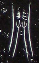 �������ϸ����