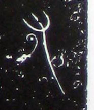 �������ϸ����