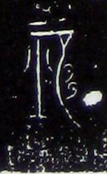 �������ϸ����