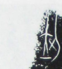 �������ϸ����