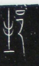 �������ϸ����