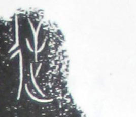 �������ϸ����