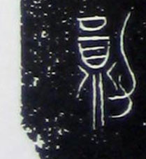 �������ϸ����