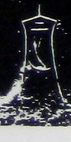 �������ϸ����